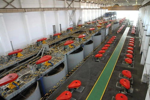 金川集團(tuán)選礦廠 跑出科技創(chuàng)新加速度，引領(lǐng)金屬礦業(yè)批發(fā)新篇章