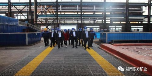 全國電解金屬錳創(chuàng)新聯(lián)盟成員單位參觀湖南東方礦業(yè)，共探金屬礦批發(fā)新機(jī)遇